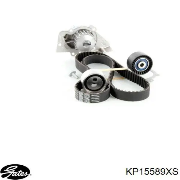 KD192 Dolz Ремінь ГРМ, комплект