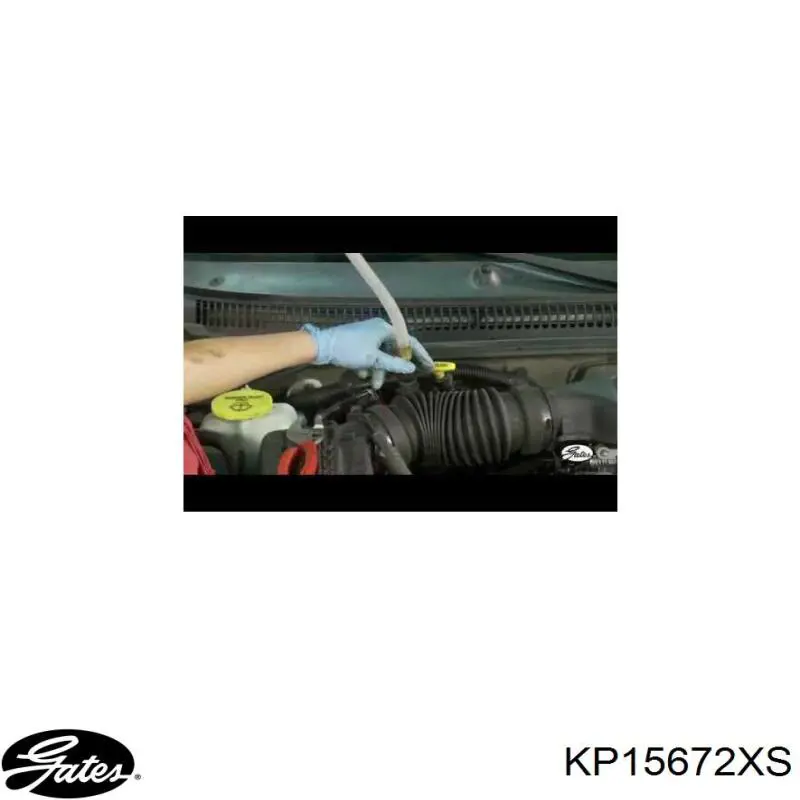 Ремкомплект ГРМ Ford 1761515