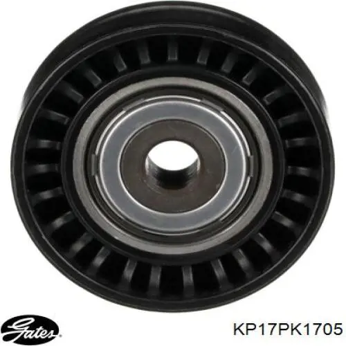 Купити 8660004396 Renault (RVI) Ремінь приводний, агрегатів, комплект