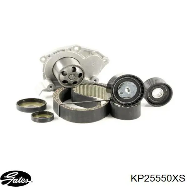 Купити 8200064664 Renault (RVI) Ролик паразитний ГРМ