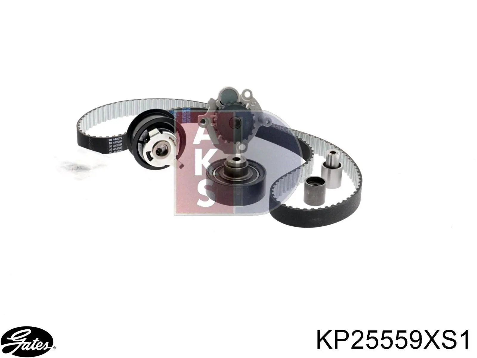 Комплект ГРМ CT1044WP3 Continental/Siemens