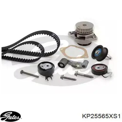 Купити KD101 Dolz ГРМ ремень