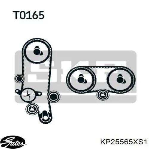 Комплект ГРМ KD101 Dolz