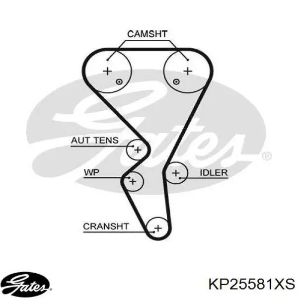 Купити KP25581XS Gates ГРМ ремень