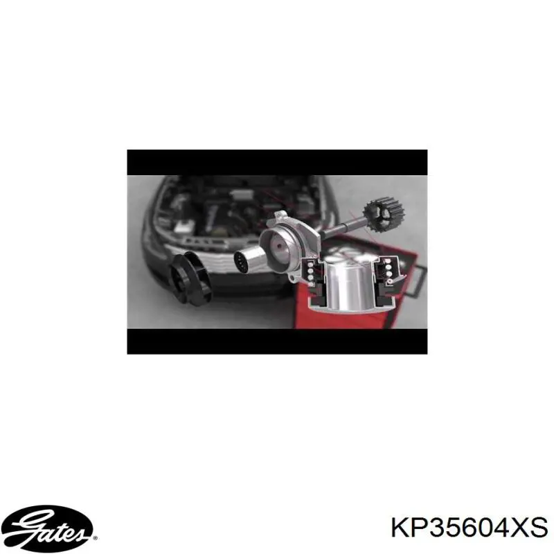 KBU10065A Bugatti комплект грм