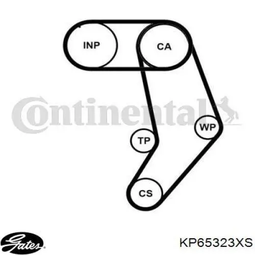 KD087 Dolz Ремінь ГРМ, комплект