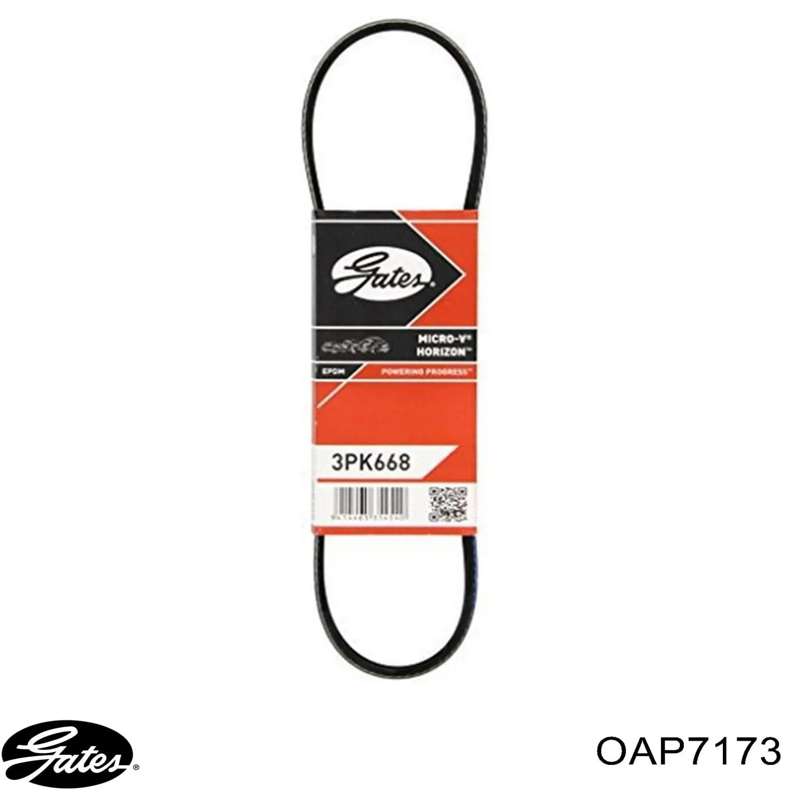 Купити OAP7173 Gates Шків генератора
