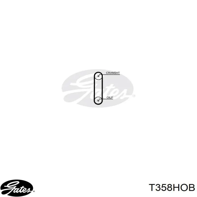 Ремінь масляного насосу Seat Ibiza 4 (6J5) (Сеат Ібіца)