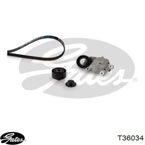 Ролик приводного ременя, паразитний Dello/Automega 160027810 ціна, від 13.84 USD