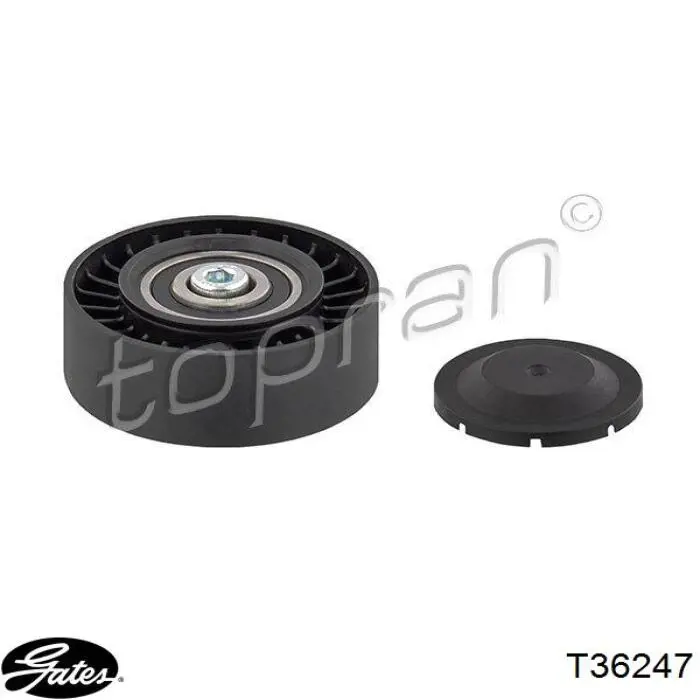 MPQ0355 Magneti Marelli Ролик приводного ременя, паразитний