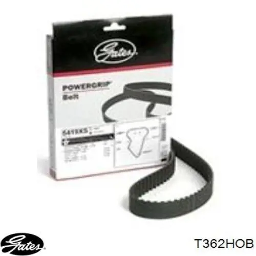 Зубчастий ремінь Gates T362HOB ціна, від 13.42 USD