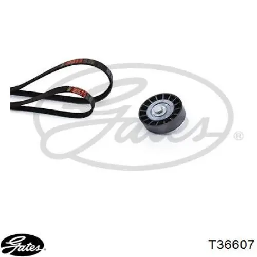 Натяжний ролик Gates T36607 ціна, від 17.59 USD