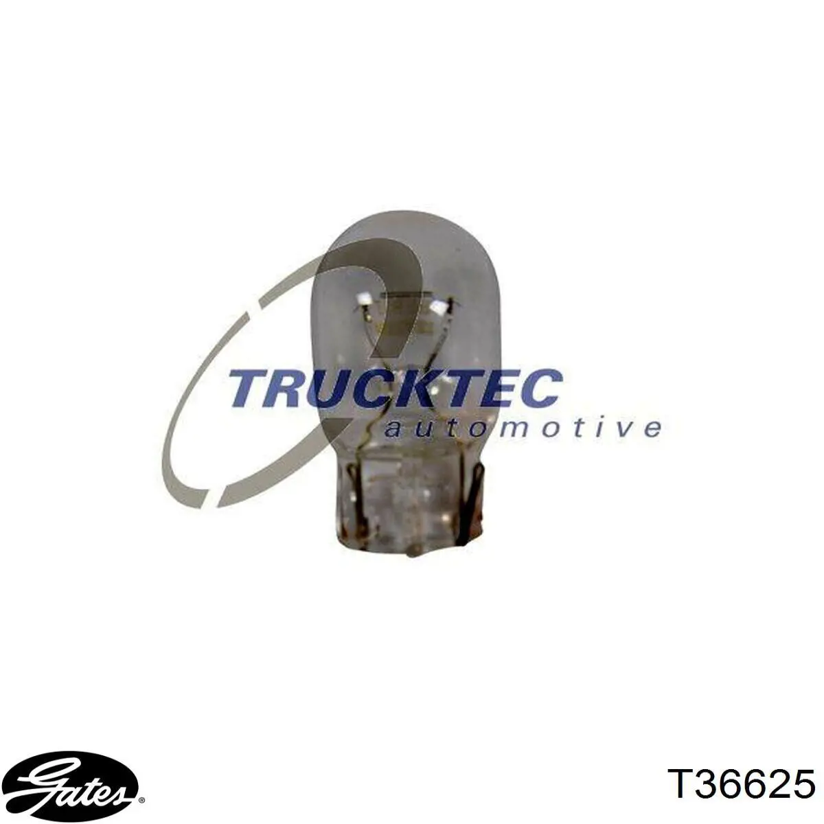 Купити VKMCV51066 SKF Ролик приводного ременя, паразитний