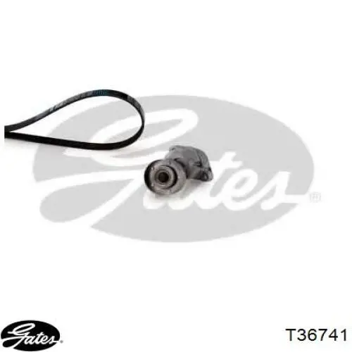  Gates T36741 ціна, від 17.86 USD