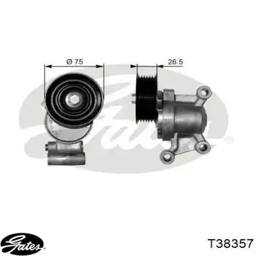 Натягувач приводного ременя NTY RNKMZ008 ціна, від 33.82 USD