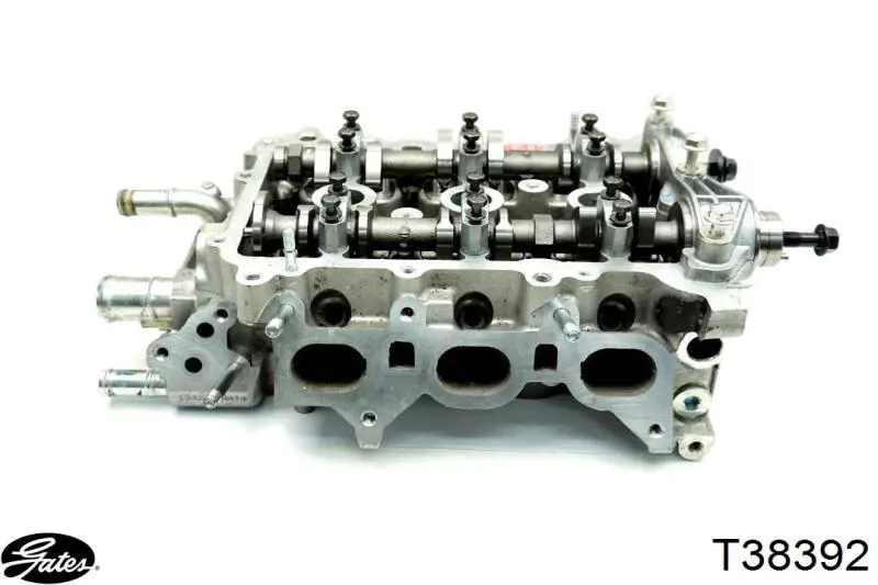 Натягувач приводного ременя GP EG575155 ціна, від 14.68 USD