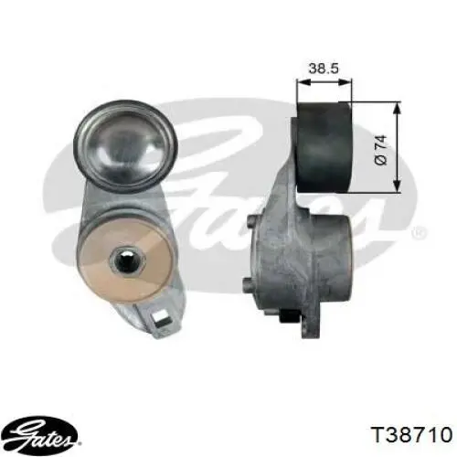 Натягувач приводного ременя Gates T38710 ціна, від 65.24 USD
