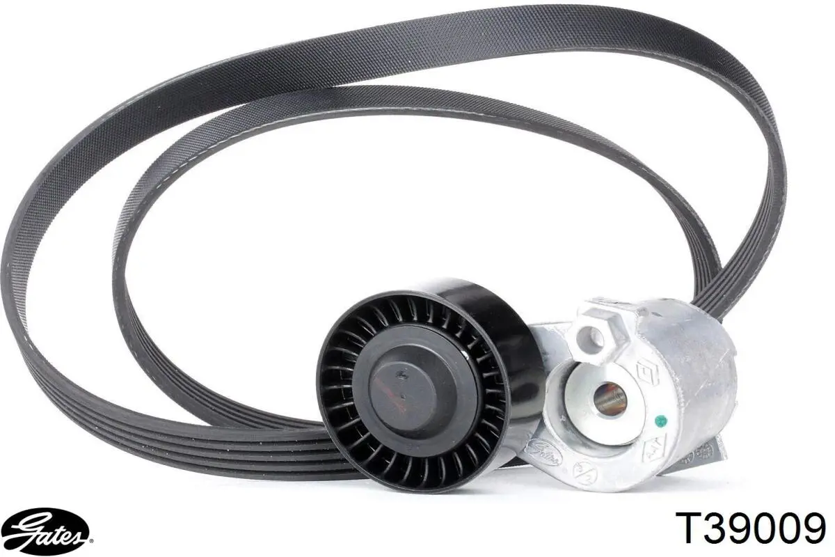 Натягувач приводного ременя Fast FT44629 ціна, від 31.45 USD