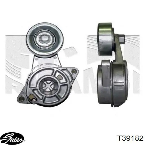 Натягувач приводного ременя Honda 3118055A003