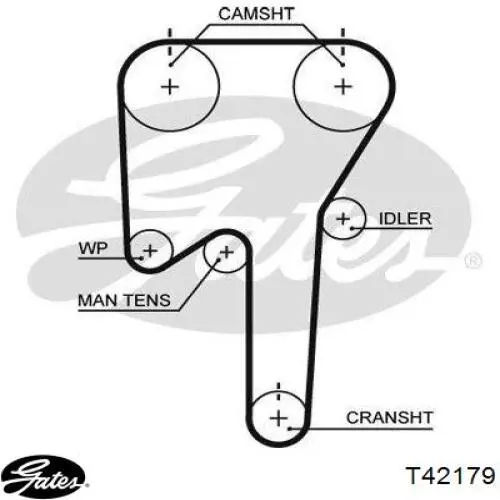 Ролик ременя ГРМ, паразитний T42179 Gates