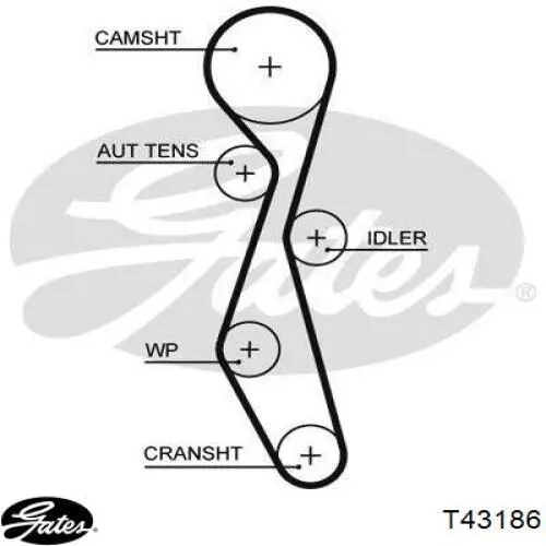 Купити T43186 Gates Натяжний ролик