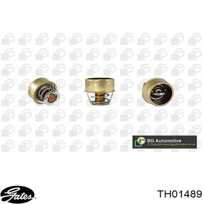 TE0113 Magneti Marelli Авто термостат