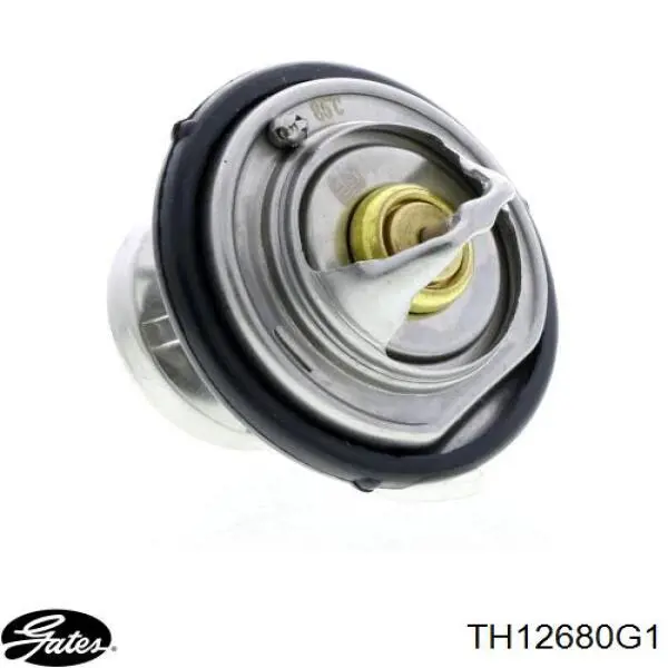 TP0797011 Tempest Авто термостат