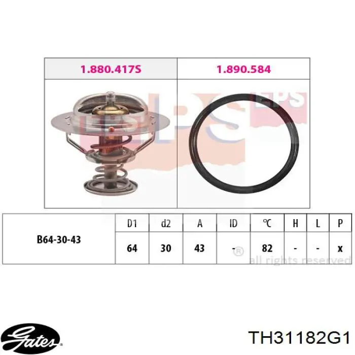 Термостат WV64TA82A Tama