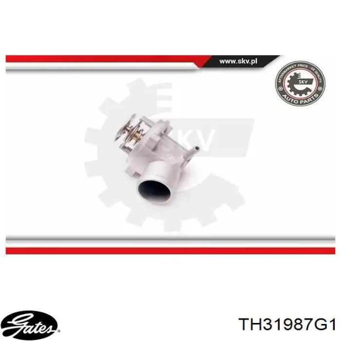 Термостат в зборі Dayco DT1076F