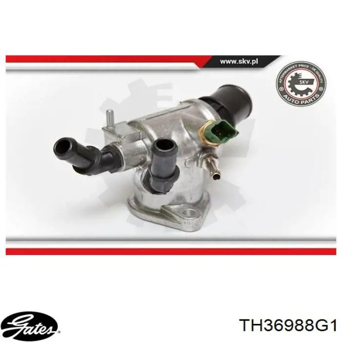 Автомобільний термостат Borg-Warner 41004988D ціна, від 37.96 USD