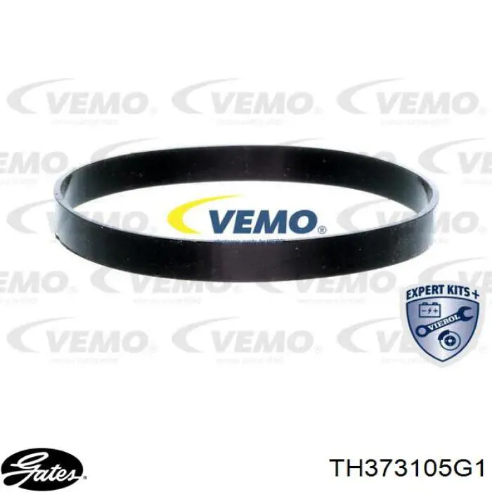 Купити TH6495105J Vernet Термостат в корпусі