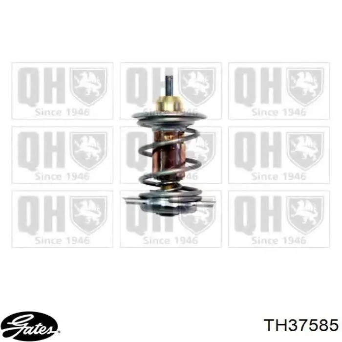 Автомобільний термостат Rider 210821306010 ціна, від 6.28 USD