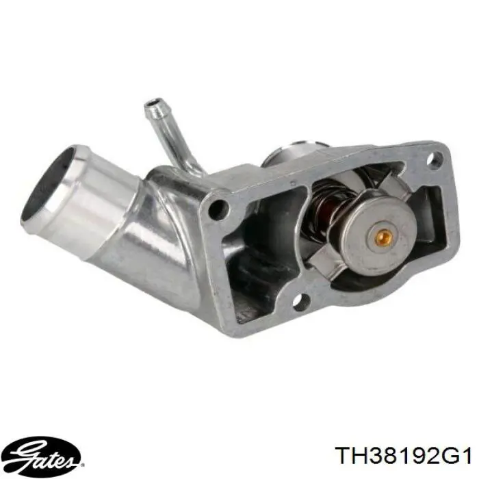 Термостат в зборі Thermotec D2X024TT