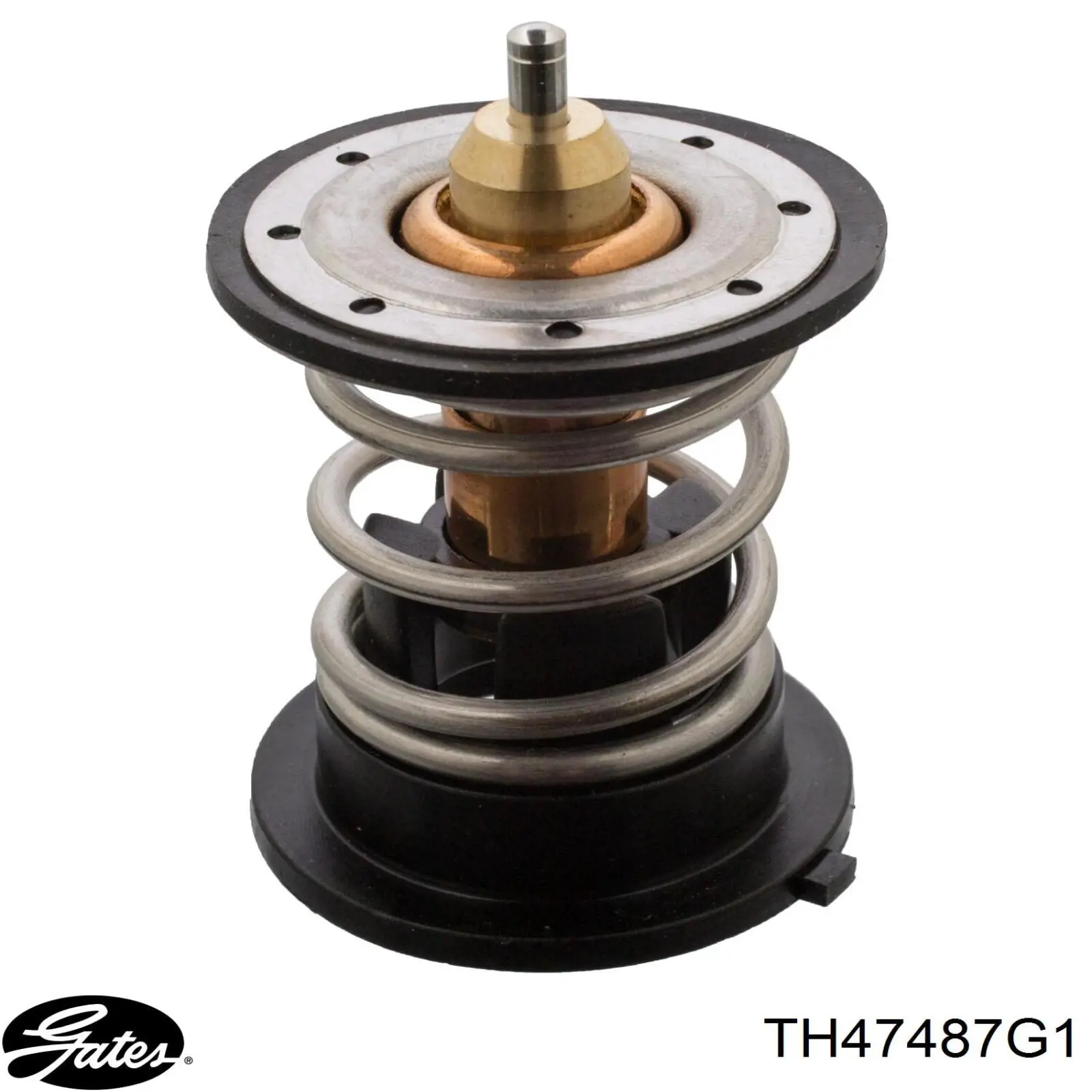 Автомобільний термостат Borg&beck BBT340 ціна, від 22.53 USD