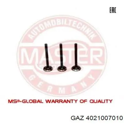 4021007010 GAZ 