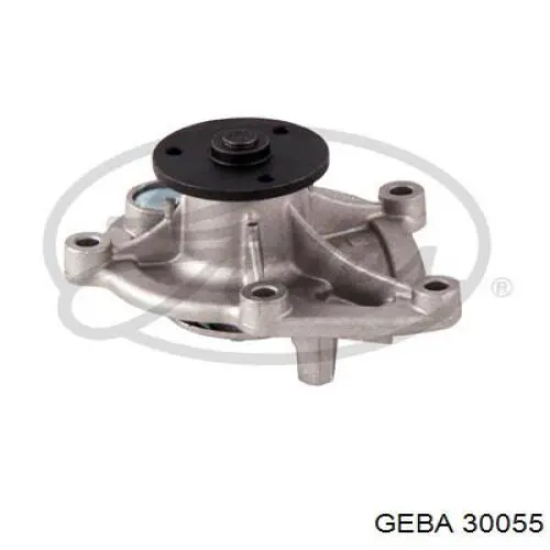 30055 Geba Насос охолодження
