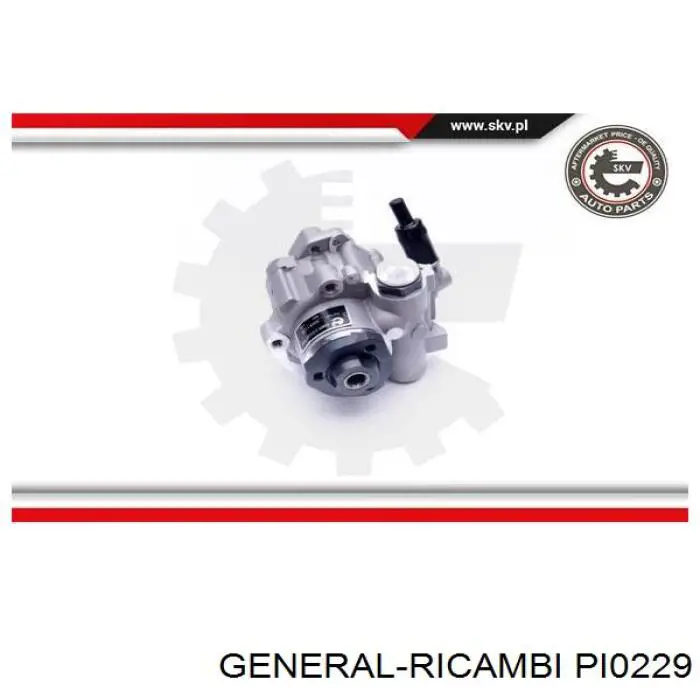 Насос ГУР PI0229 General Ricambi
