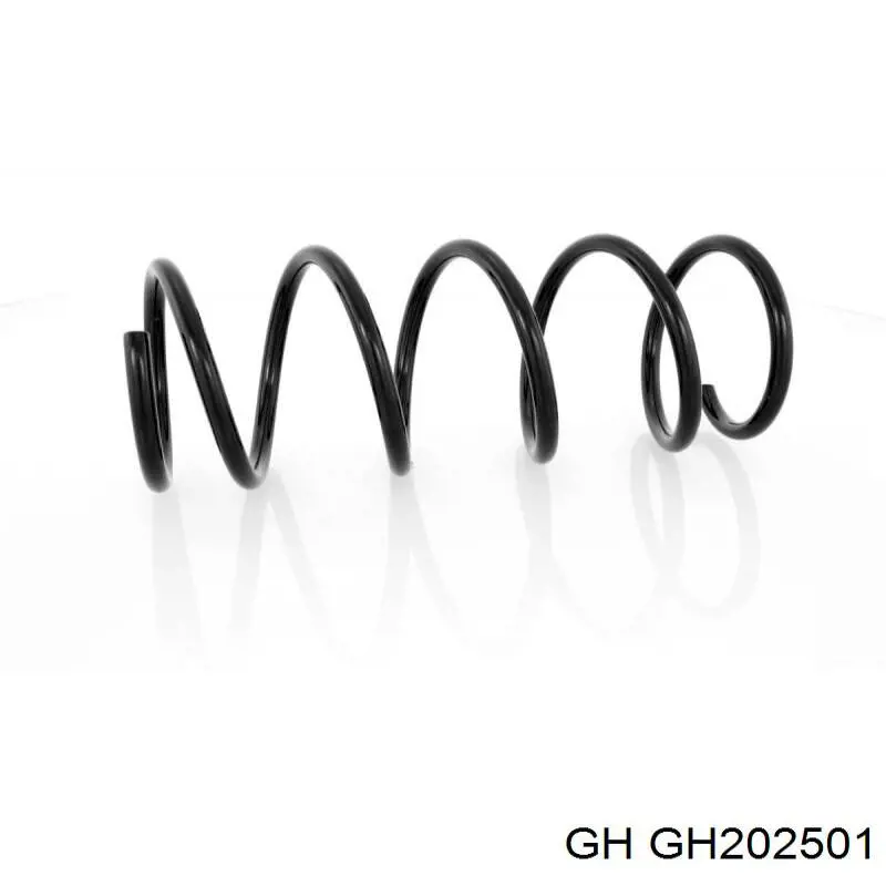 GH202501 GH пружина передня