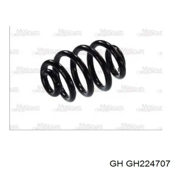 Задні пружини GH224707 GH