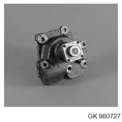 Помпа CS15513 DP Group