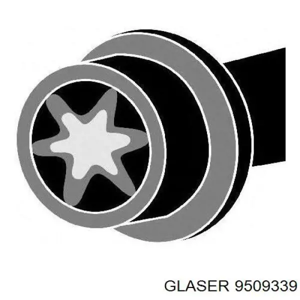 Болт головки блока циліндрів, ГБЦ Glaser 9509339 ціна, від 18.79 USD