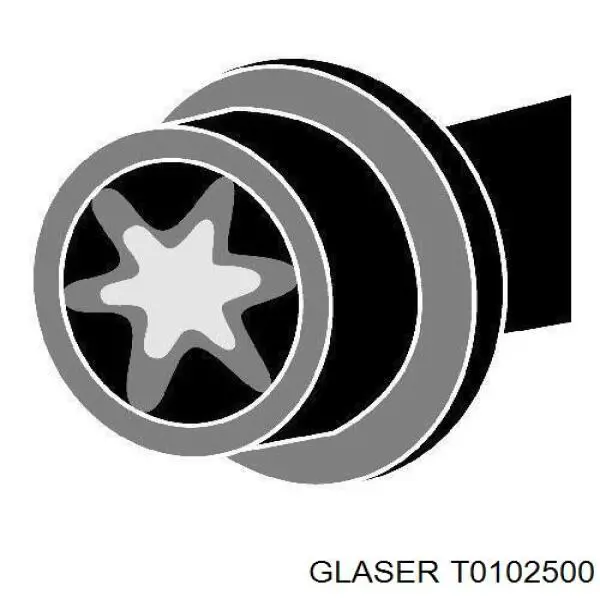 T0102500 Glaser болт головки блока циліндрів, гбц