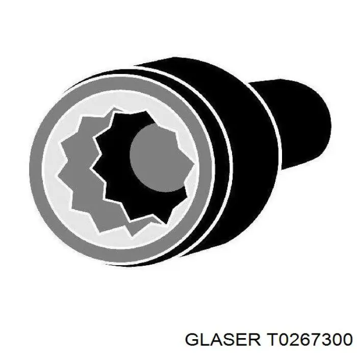 T0267300 Glaser Болт кріплення головки блоку циліндрів
