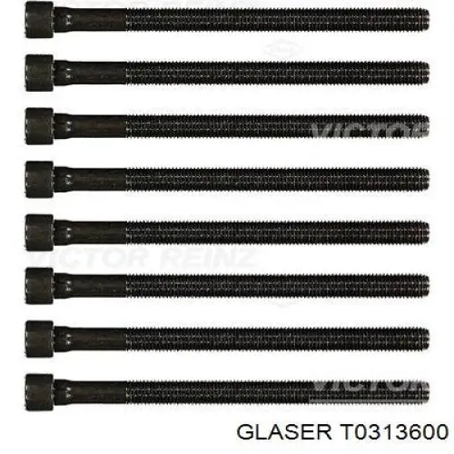 Болт ГБЦ T0313600 Glaser