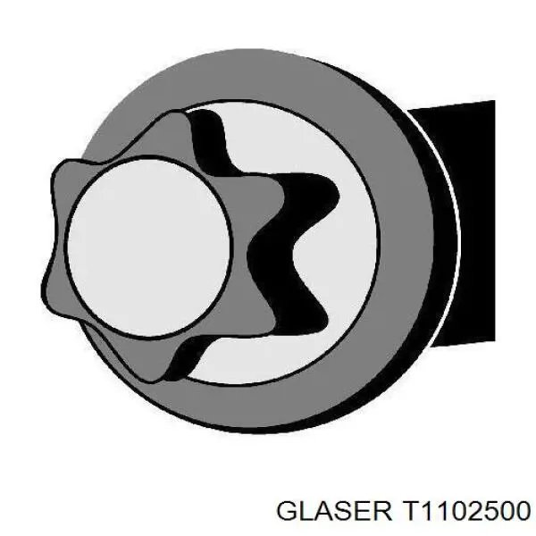 T1102500 Glaser болт головки блока циліндрів, гбц