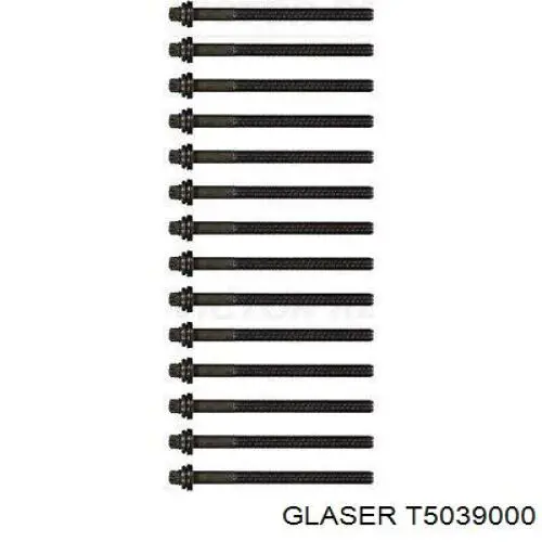 Болт головки блока циліндрів, ГБЦ T5039000 Glaser