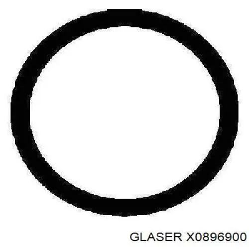 X0896900 Glaser прокладка впускного колектора
