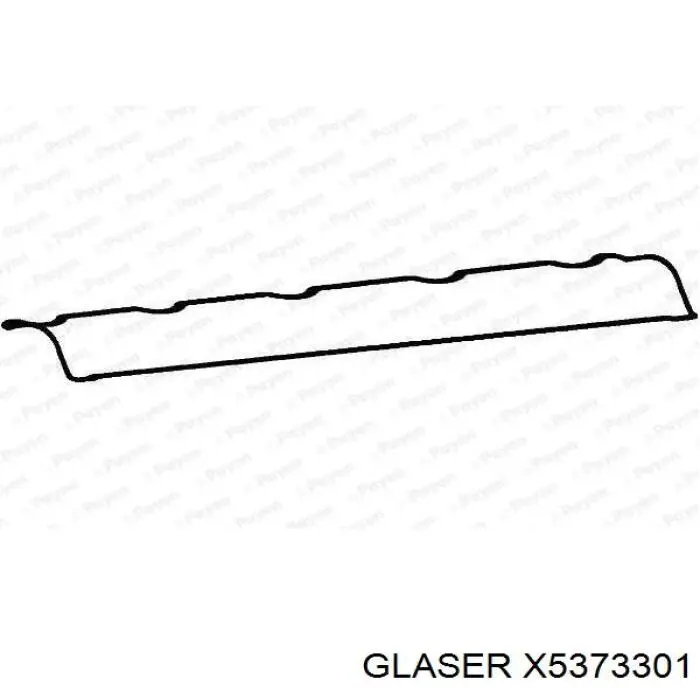 X5373301 Glaser прокладка клапанної кришки двигуна