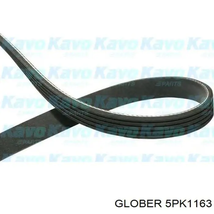 5PK1163 Glober ремінь приводний, агрегатів