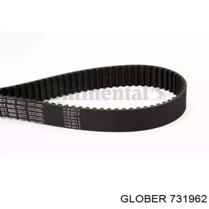 Ролик паразитний ГРМ 731962 Glober